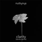 Nutty Nys - Clarity (Taints Remix)